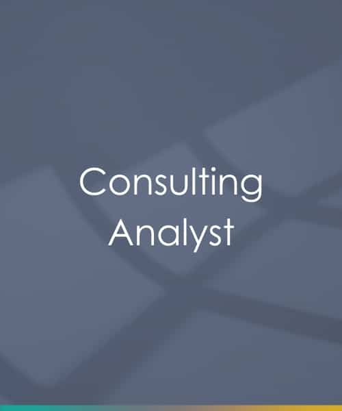 Business Consultant (4)